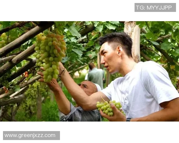 可兰白克：探索这位杰出人物的成长历程与影响力分析