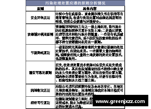 廊坊体育明星代言费解析揭秘影响因素与市场趋势分析