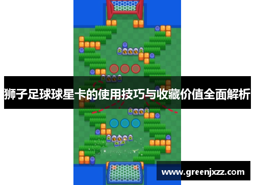 狮子足球球星卡的使用技巧与收藏价值全面解析