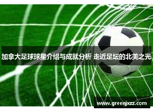 加拿大足球球星介绍与成就分析 走近足坛的北美之光